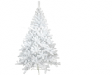 Ель Сибирская белая 2,4 м