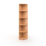 Шкаф для учебных пособий угловой